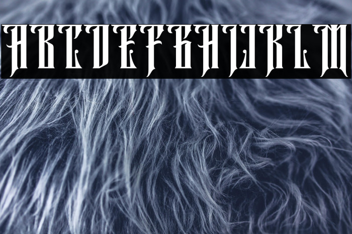 Aurel shine Regular Example 1