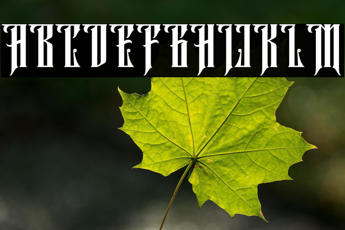 Aurel shine Regular Example 2