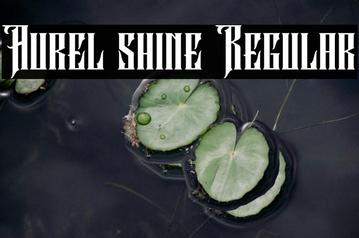 Aurel shine Regular Example 1