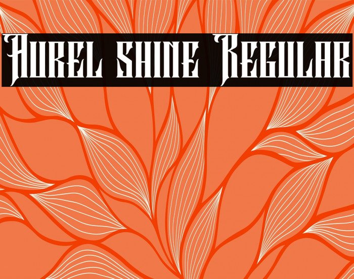 Aurel shine Regular Example 2