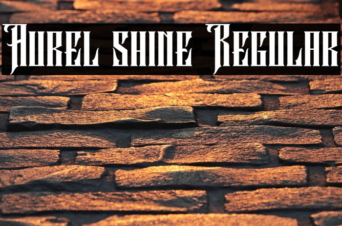 Aurel shine Regular Example 3