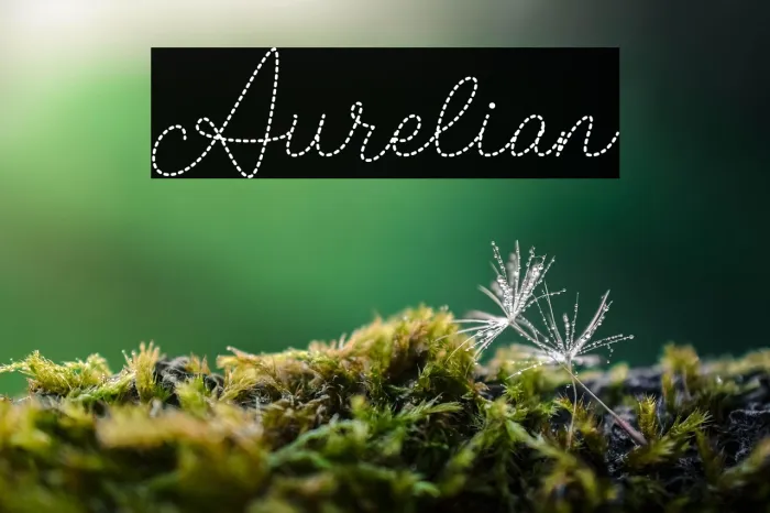 Aurelian Example 2