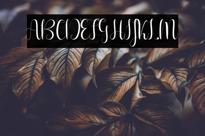 Aureliaregular Example 2