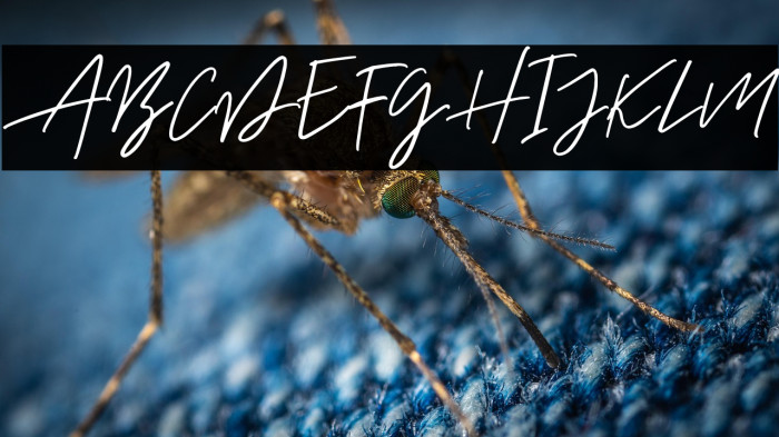 AurelieSmithDEMO Example 1