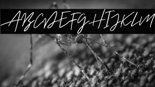 AurelieSmithDEMO Font examples