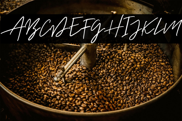 AurelieSmithDEMO Example 2