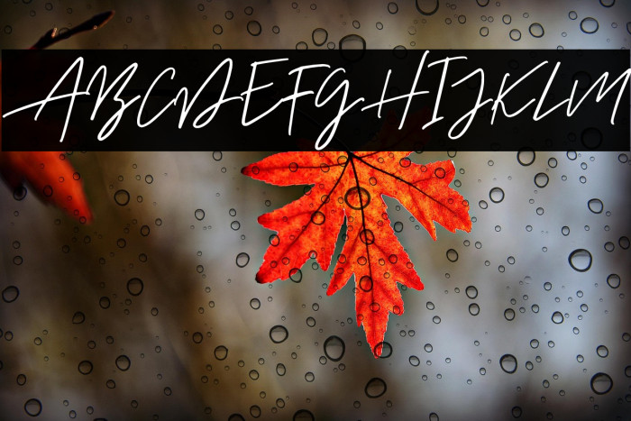 AurelieSmithDEMO Example 3