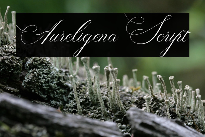 AureligenaScript Example 2