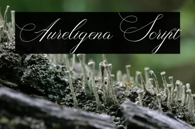 AureligenaScript Example 2