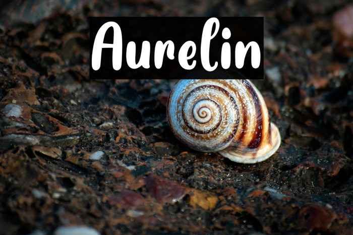 Aurelin Example 1