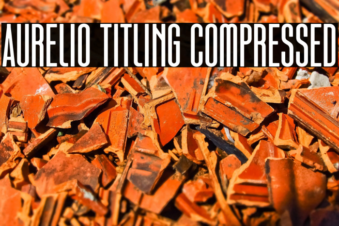 Aurelio Titling Compressed Example 2