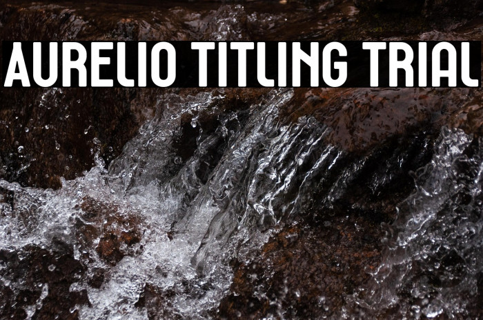 Aurelio Titling Trial Example 1