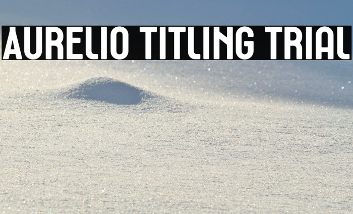 Aurelio Titling Trial Example 2