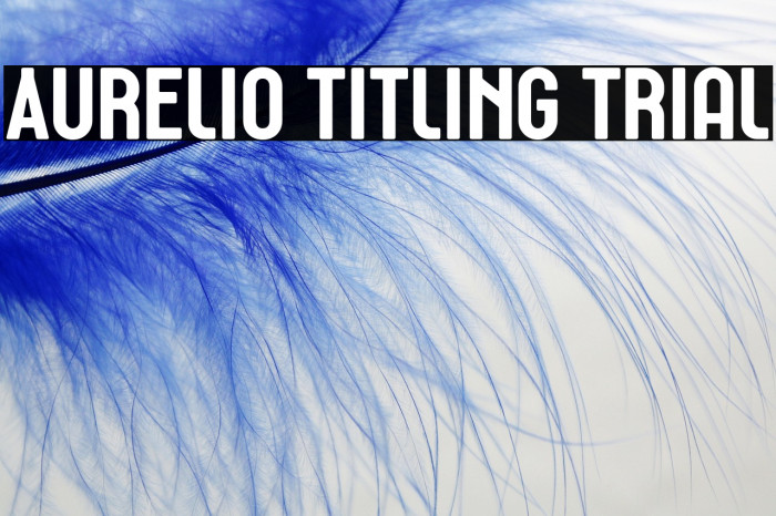 Aurelio Titling Trial Example 3