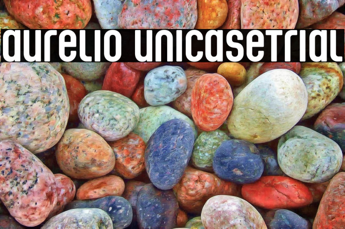 Aurelio Unicase_Trial Example 2