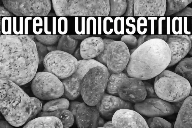 Aurelio Unicase_Trial Font examples