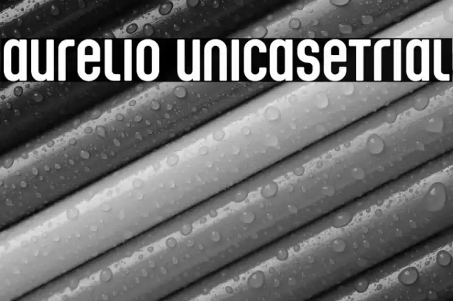 Aurelio Unicase_Trial Font examples