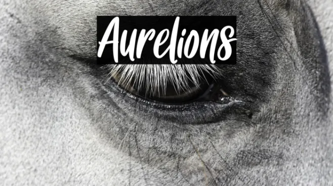 Aurelions Example 1