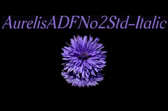 AurelisADFNo2Std-Italic Font examples