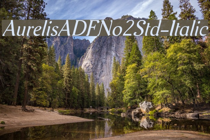 AurelisADFNo2Std-Italic Font examples