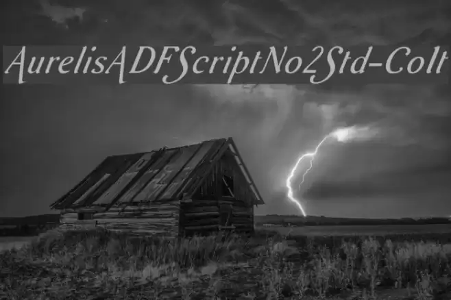 AurelisADFScriptNo2Std-CoIt Font examples