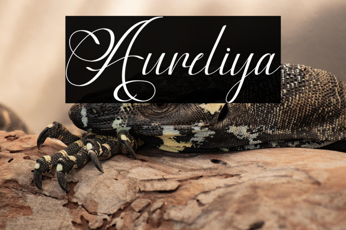 Aureliya Example 1