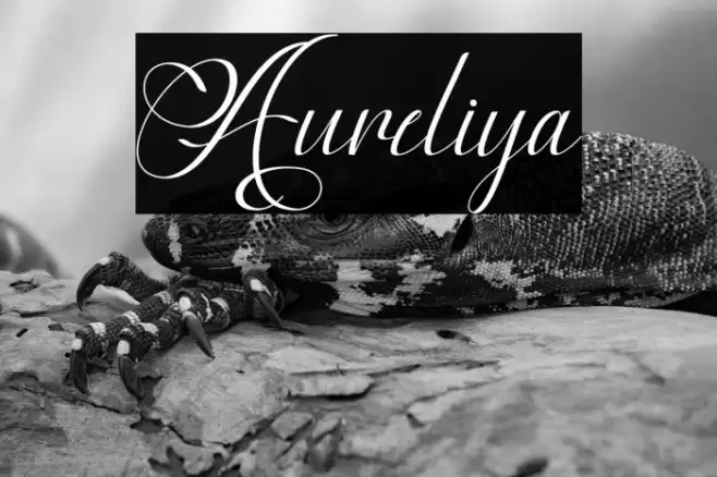 Aureliya Font examples