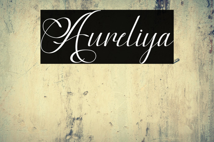 Aureliya Example 2