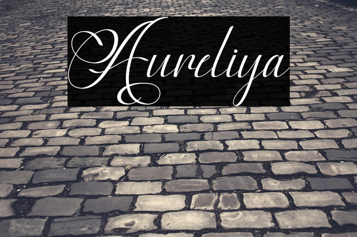 Aureliya Example 3