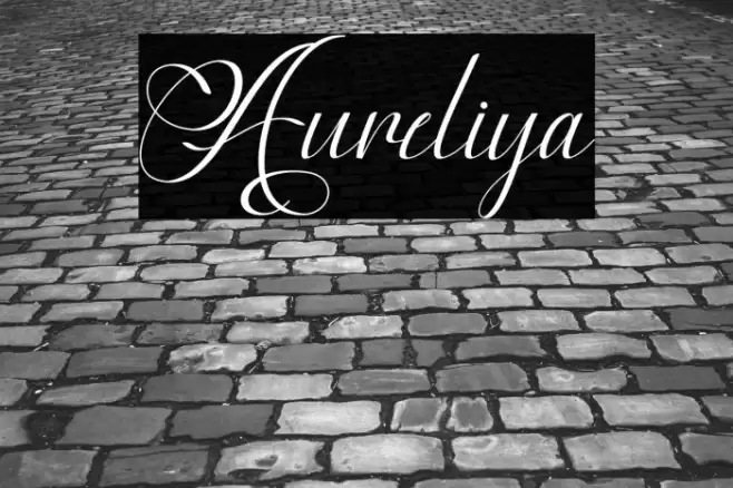 Aureliya Font examples