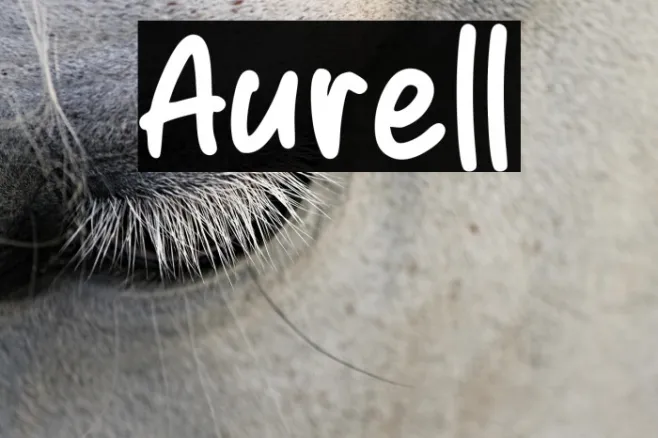Aurell Example 1