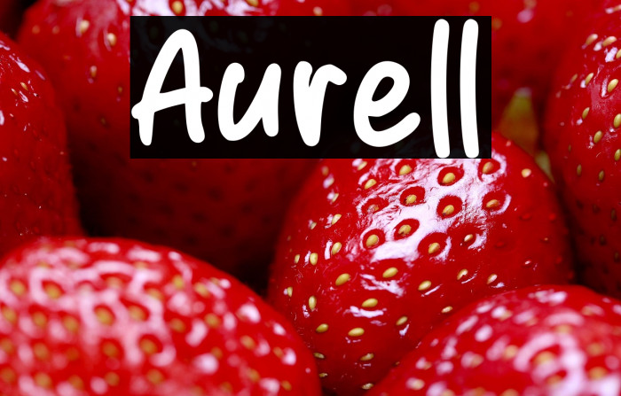 Aurell Example 2