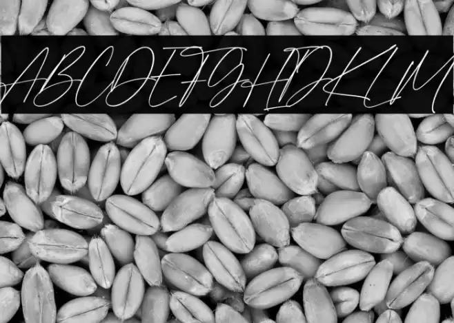 Aurellio Fuentes examples