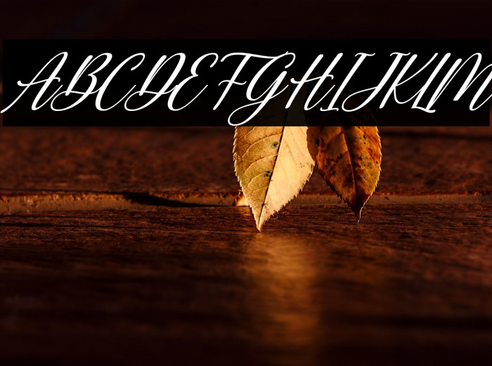 Aurely Lovely Italic Example 3