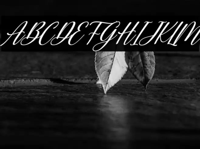 Aurely Lovely Italic Font examples