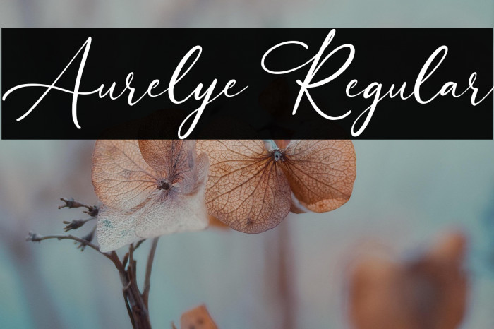 Aurelye Regular Example 1