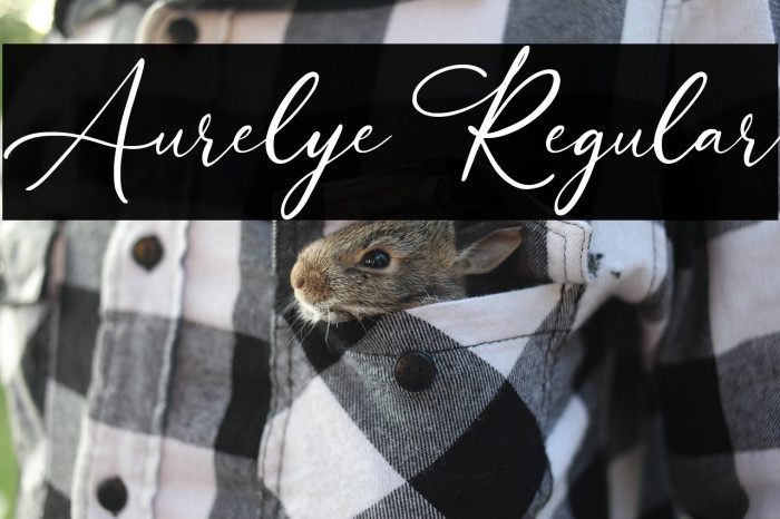 Aurelye Regular Example 3