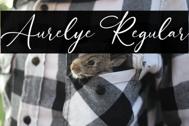 Aurelye Regular Example 3