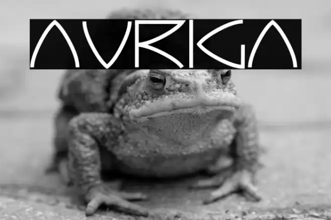 Auriga Font examples