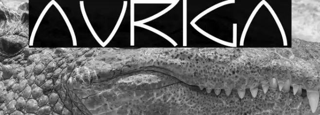 Auriga Font examples