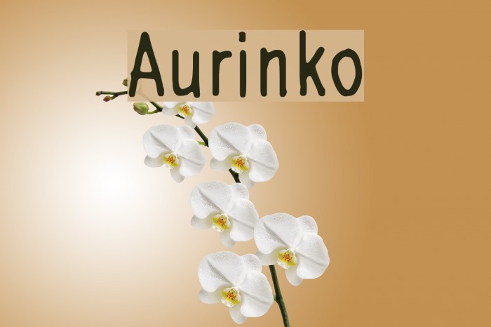 Aurinko Font examples