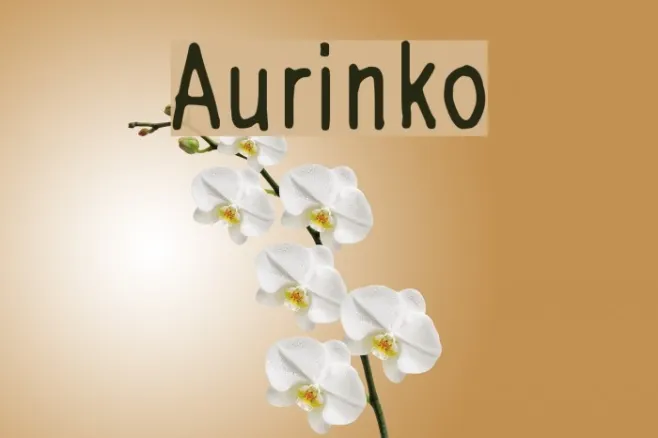 Aurinko Example 1