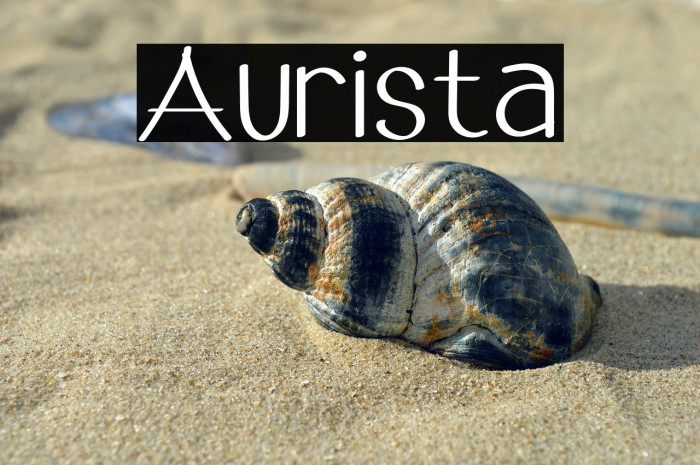 Aurista Example 2