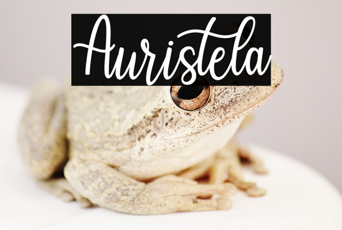 Auristela Example 1