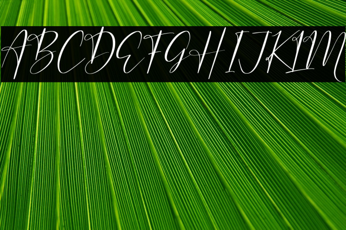 Auristtela Patricia Example 3