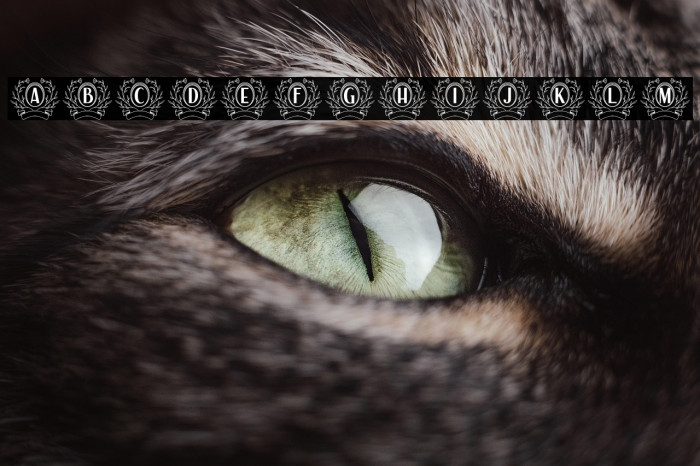 Auro Monogram Example 1