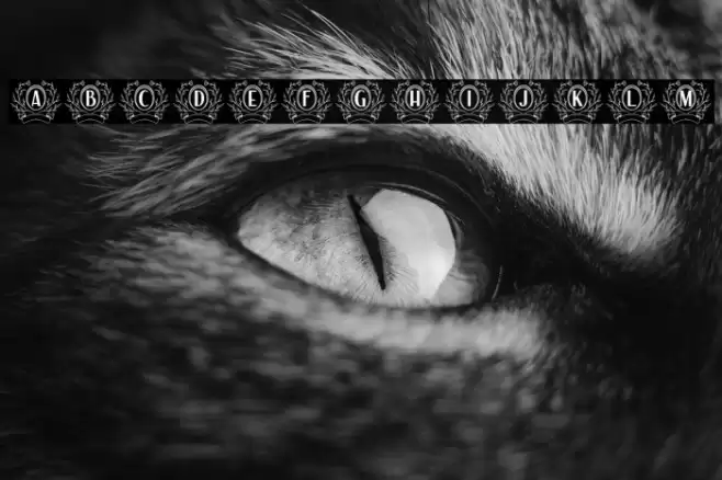 Auro Monogram Font examples