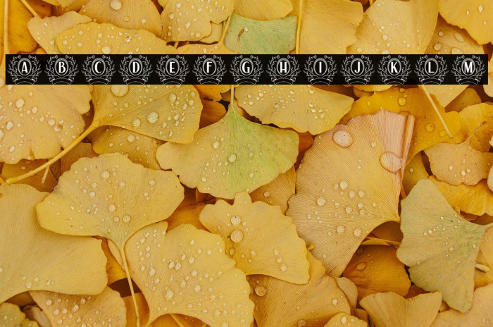 Auro Monogram Example 2