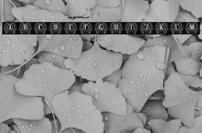 Auro Monogram Font examples