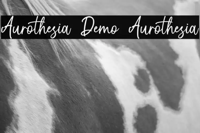 Aurothesia Demo Aurothesia Fuentes examples